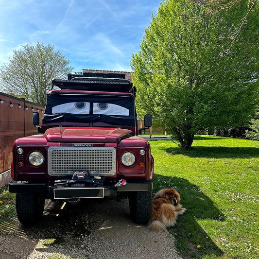 Land Rover Defender Screen Cover - Danny Eyes