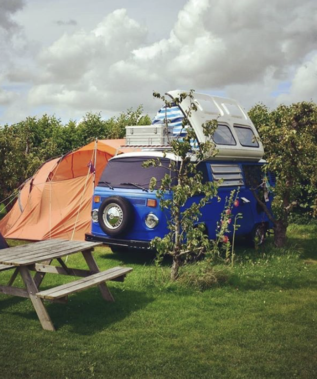 T2 Screen Cover - Plain Deluxe