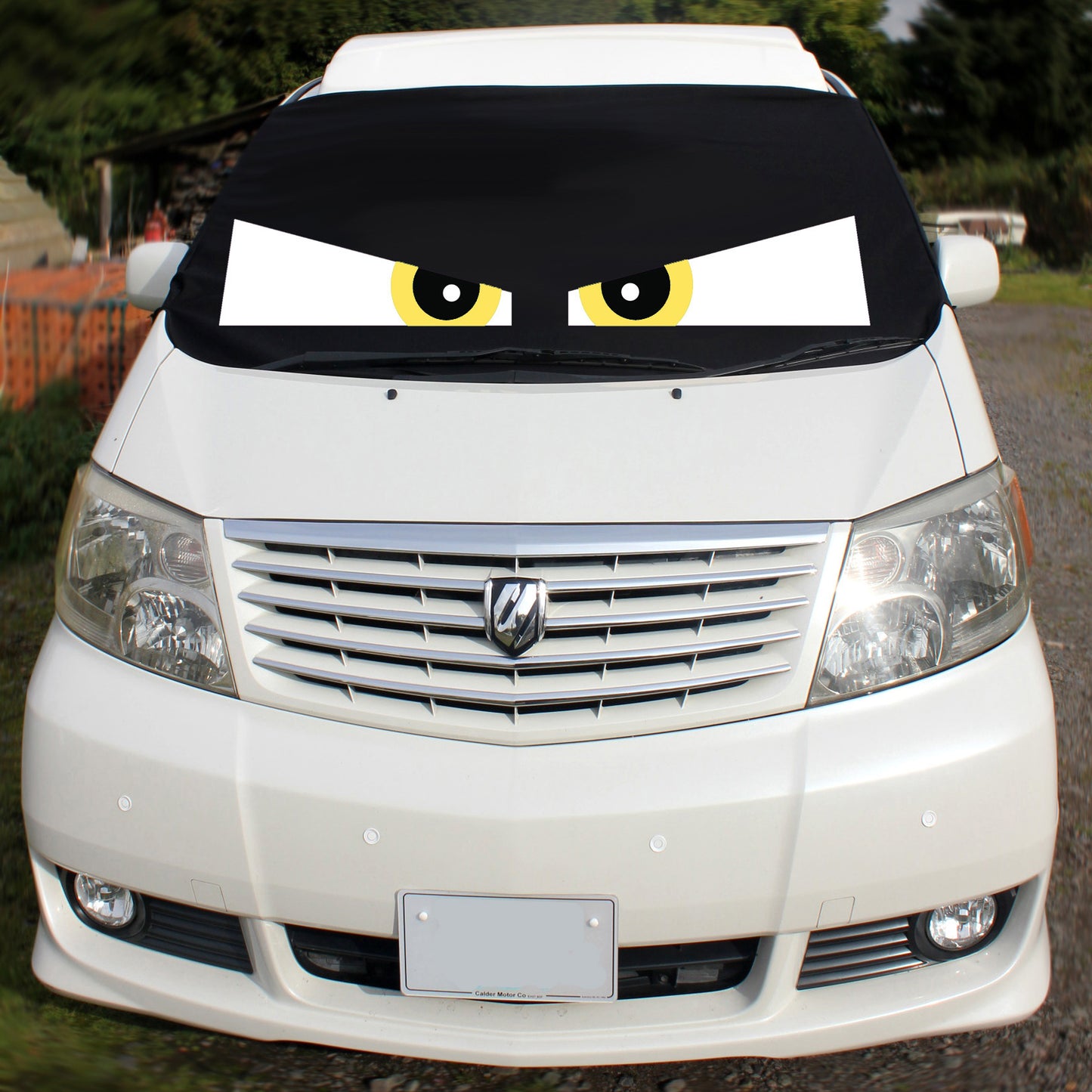 Toyota Alphard Screen Cover 2002-2008 - Arthur Eyes