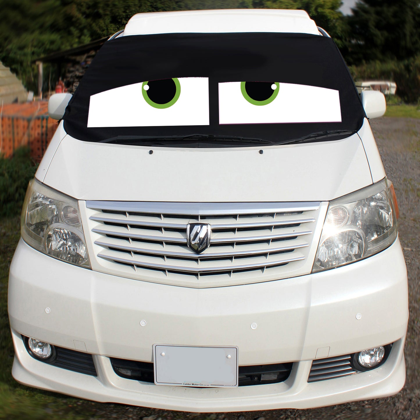 Toyota Alphard 2002-2008 Screen Cover - James Eyes