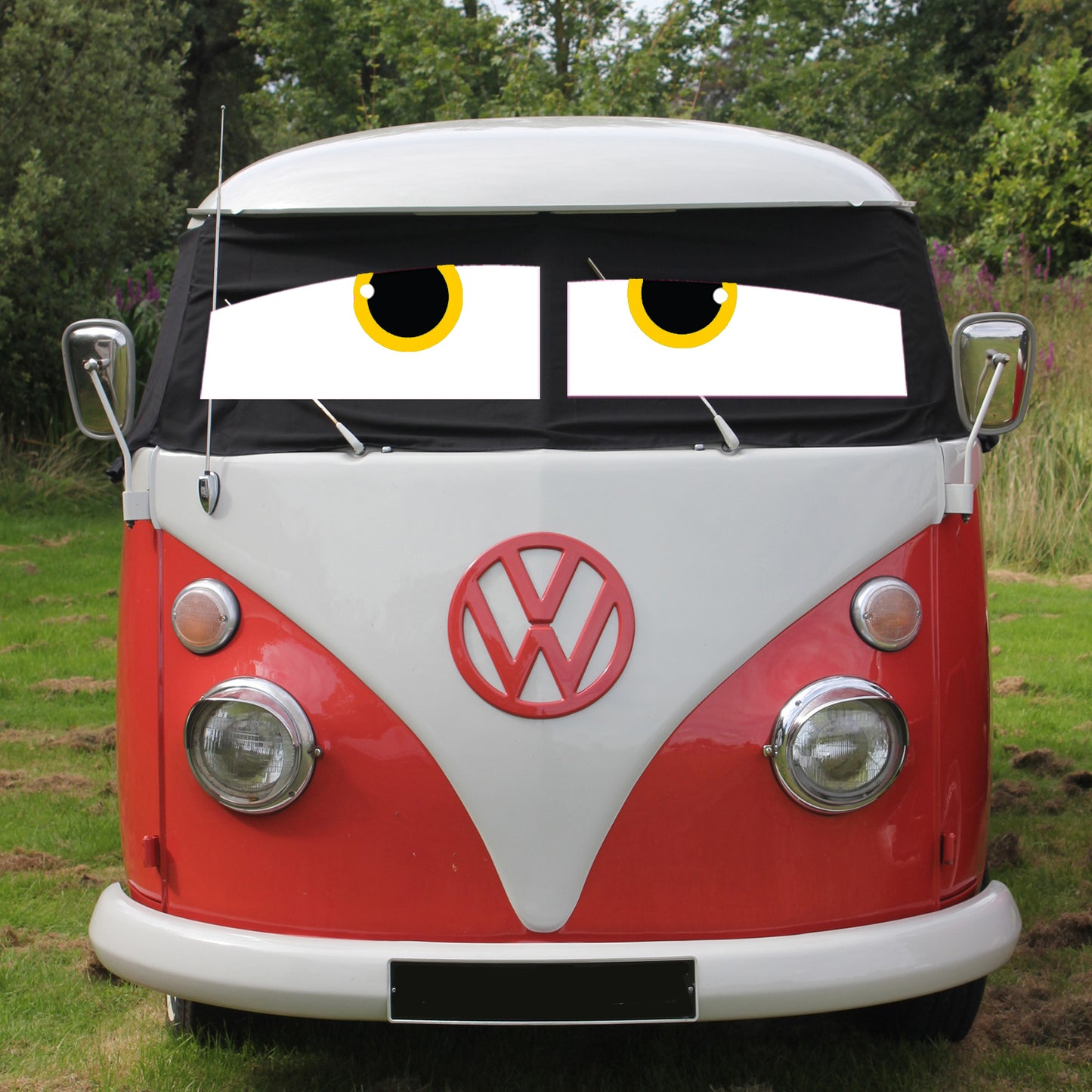 T1 Screen Wrap - James Eyes