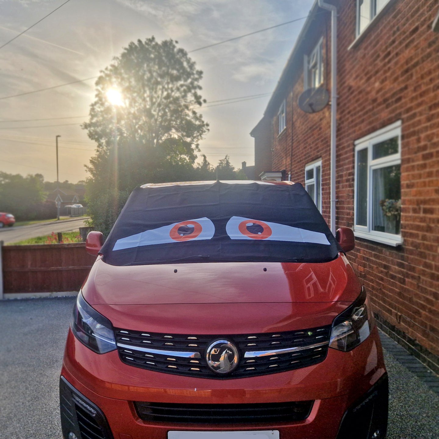 Dispatch / Expert / Vivaro Screen Cover Eyes - Sid