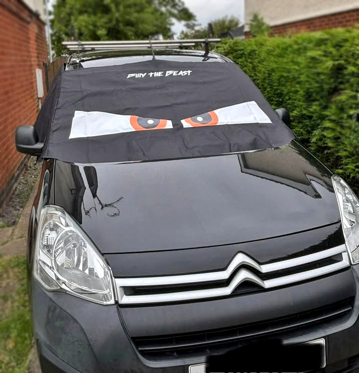 Partner / Teepee / Berlingo  2008-2018 Screen Cover - Arthur Eyes