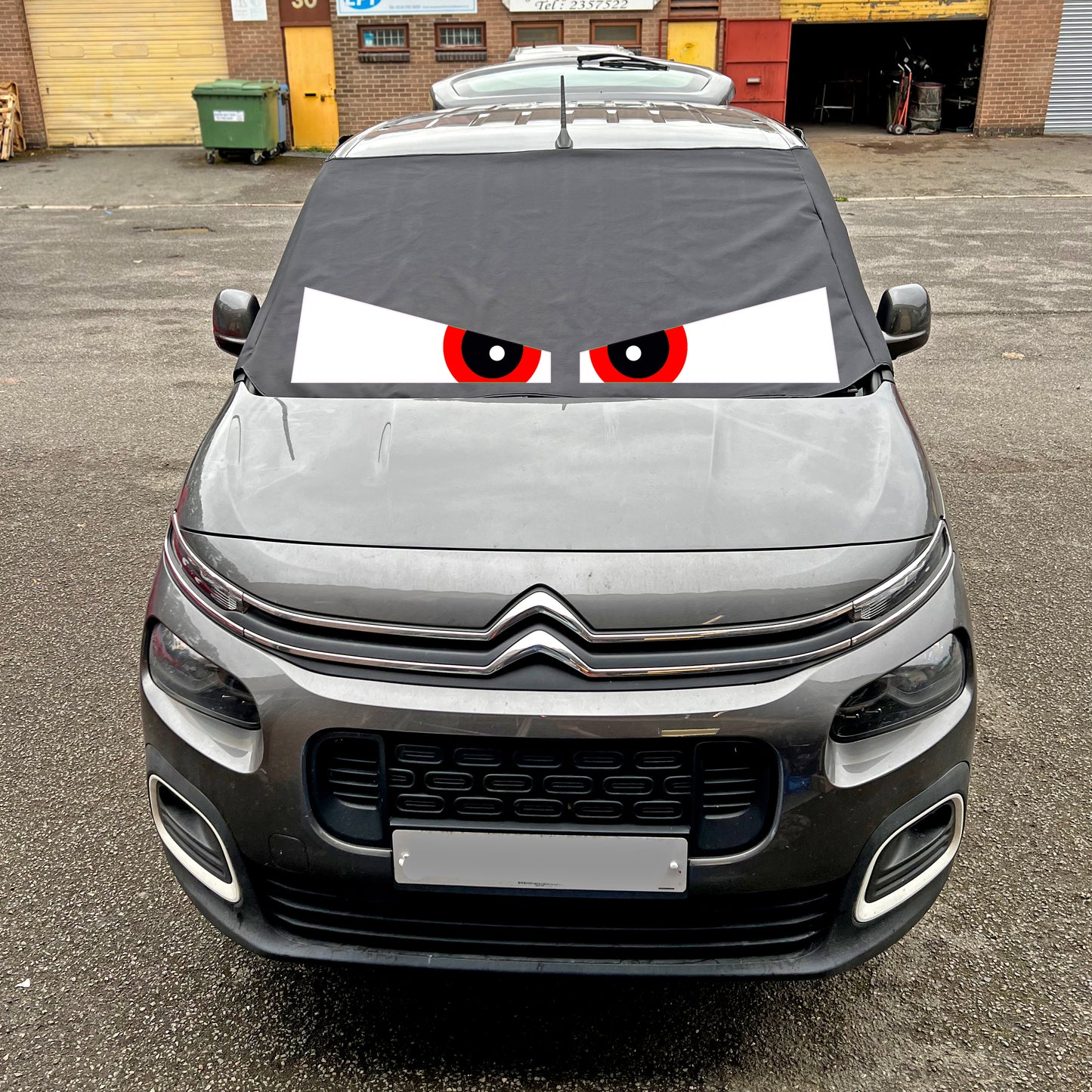 Berlingo, Partner, Rifter, Combo, Doblo - Arthur Eyes