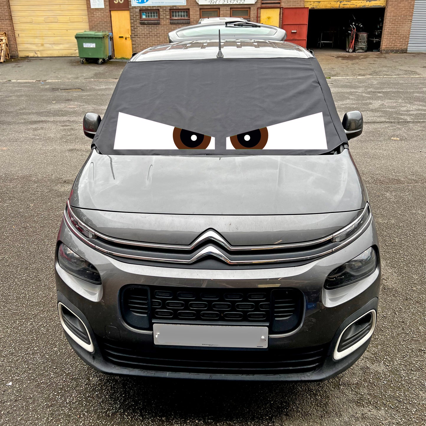 Berlingo, Partner, Rifter, Combo, Doblo - Arthur Eyes