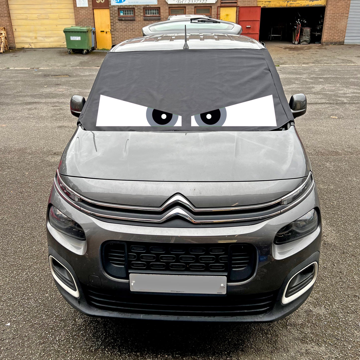 Berlingo, Partner, Rifter, Combo, Doblo - Arthur Eyes