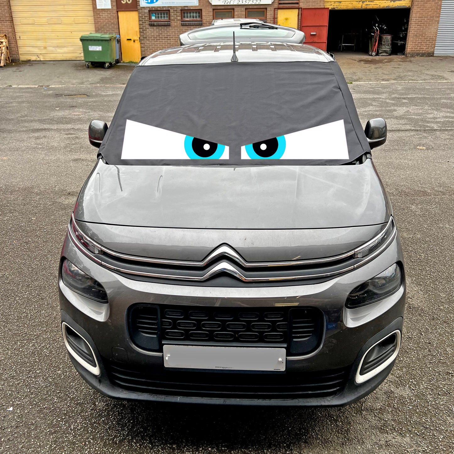 Berlingo, Partner, Rifter, Combo, Doblo - Arthur Eyes