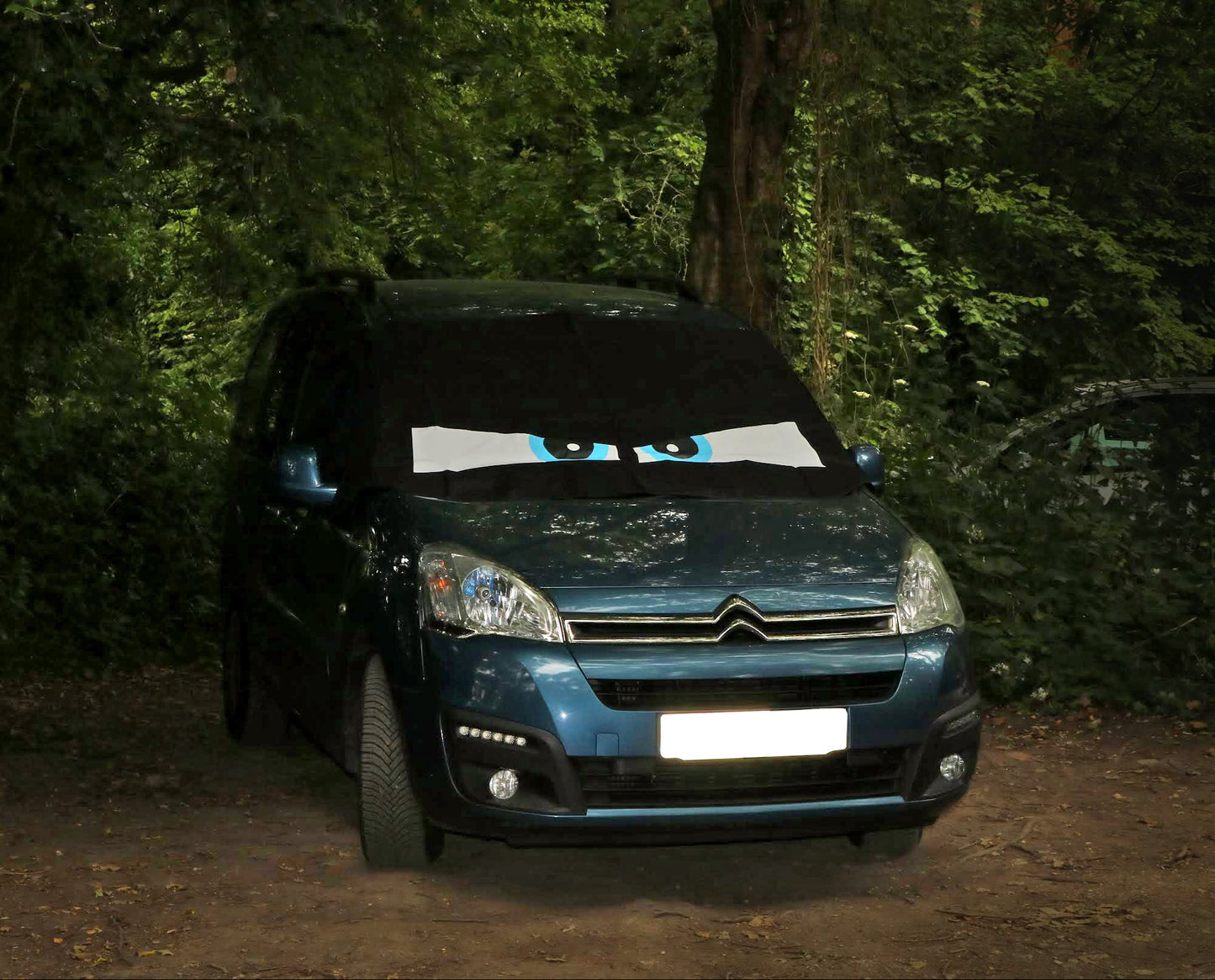 Partner / Teepee / Berlingo  2008-2018 Screen Cover - Arthur Eyes