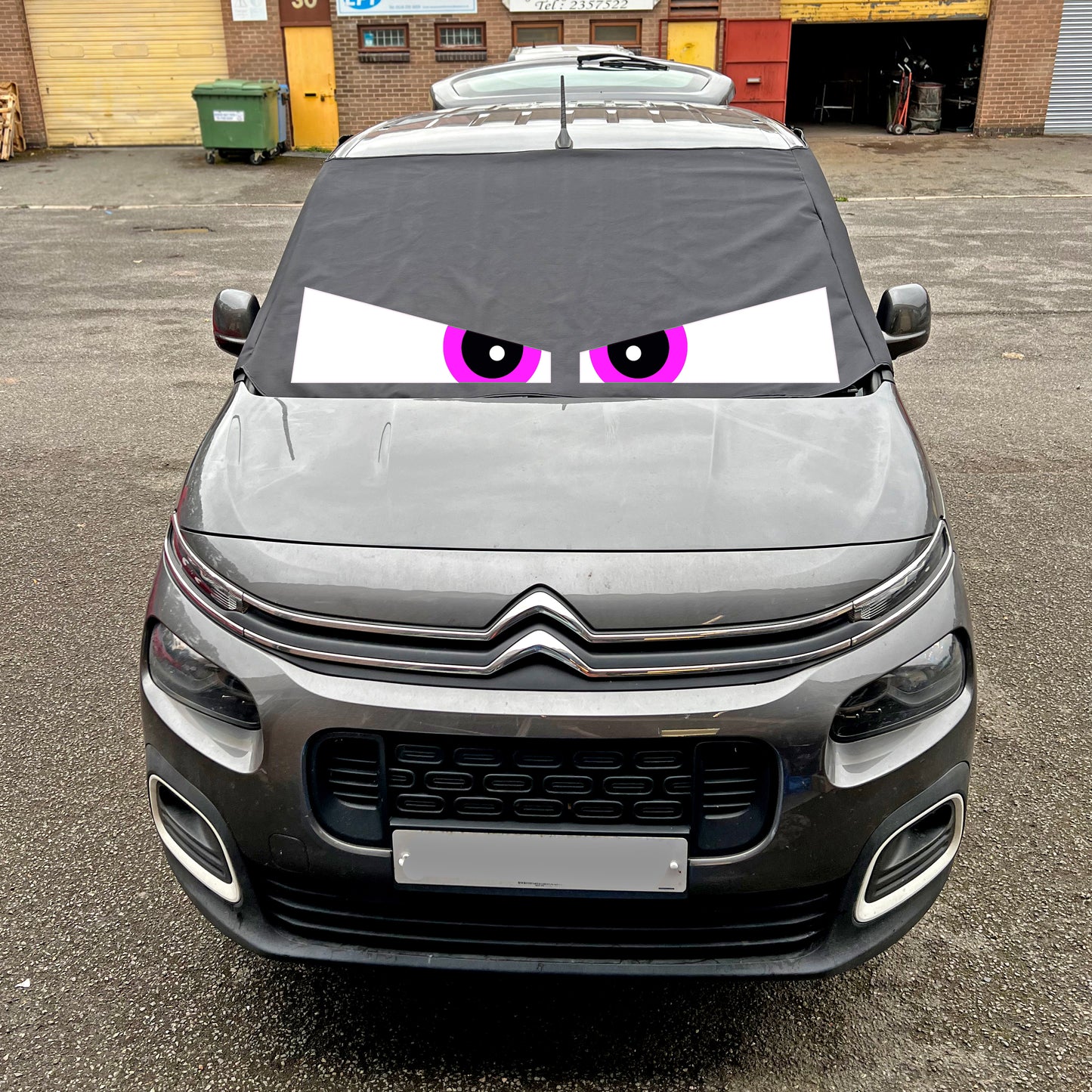 Berlingo, Partner, Rifter, Combo, Doblo - Arthur Eyes