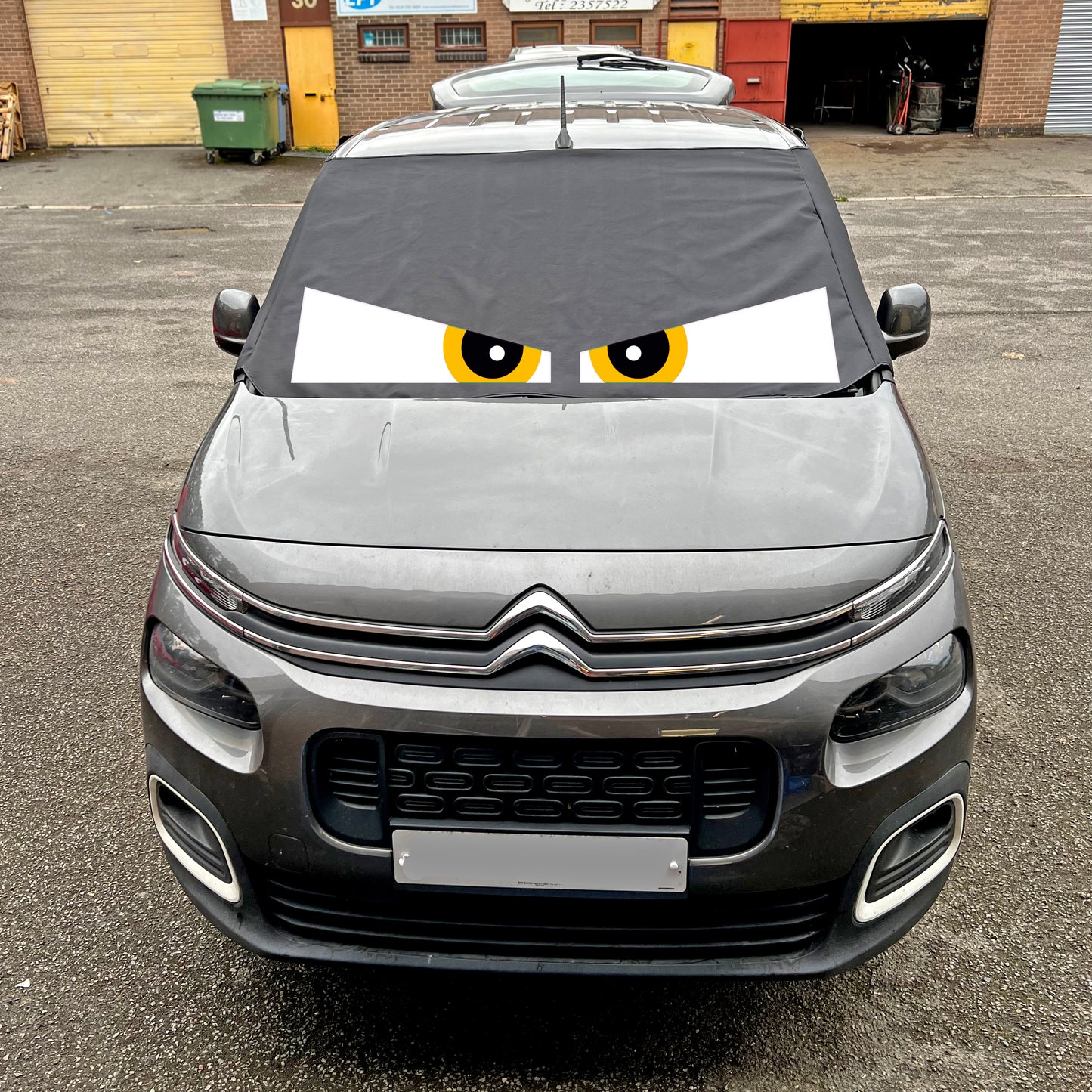 Berlingo, Partner, Rifter, Combo, Doblo - Arthur Eyes