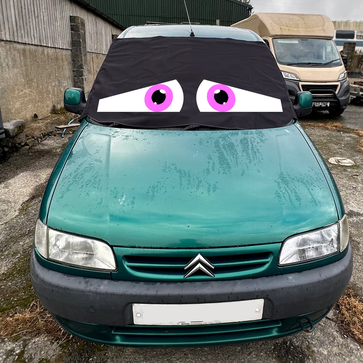 Partner / Berlingo 1996- 2008 Screen Cover - Sid Eyes