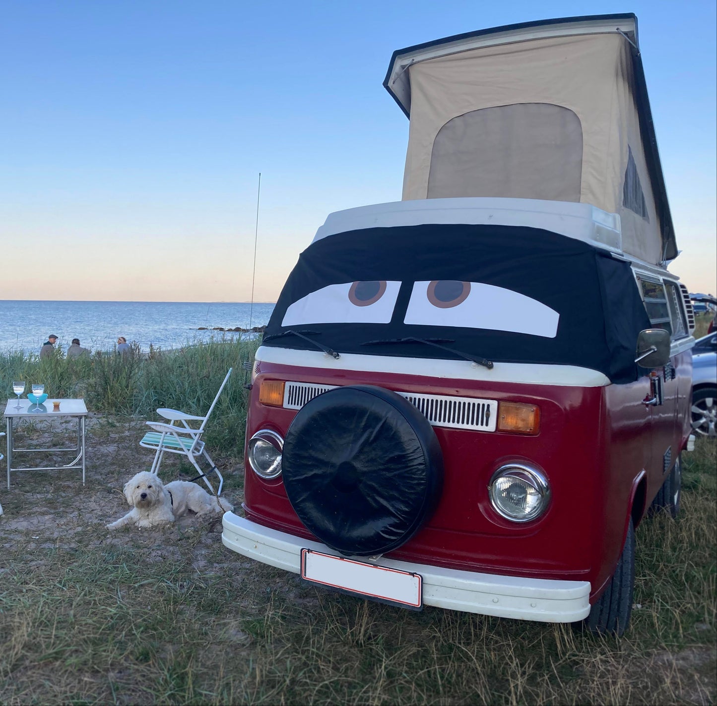 T2 Screen Wrap - Danny Eyes