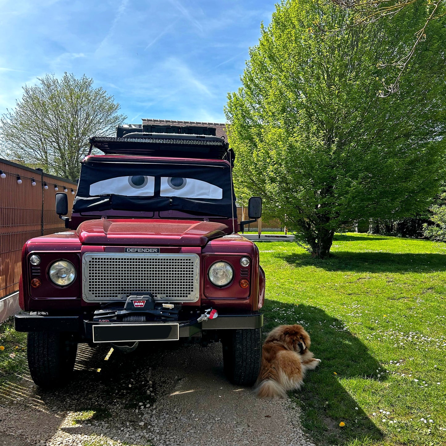 Land Rover Defender Screen Cover - Danny Eyes