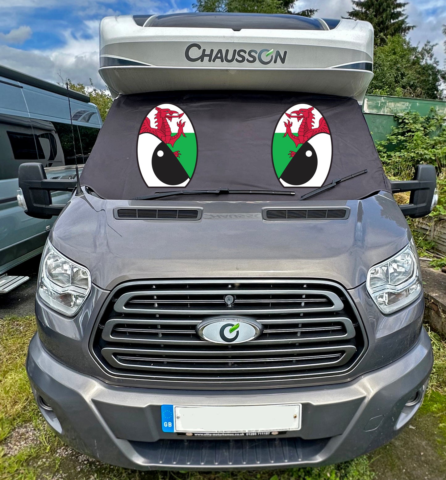 MK8 Transit Screen Wrap - Flag Eyes