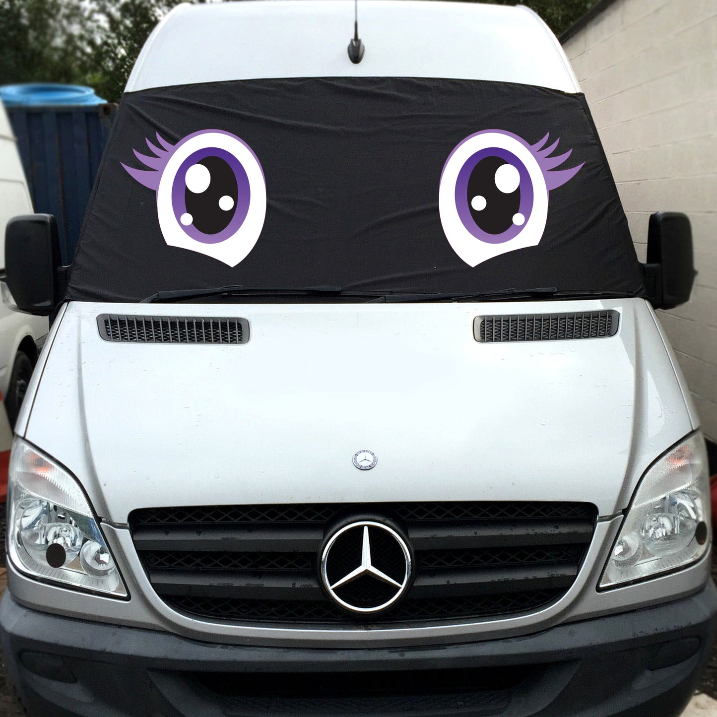 VW Crafter, Mercedes Sprinter Screen Cover Eyes - Trixie